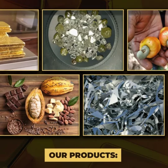 WhatsApp Image 2025-03-26 à 14.35.26_e7f1519a