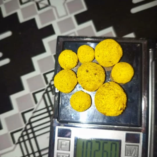 WhatsApp Image 2025-03-26 à 16.24.00_3d307576