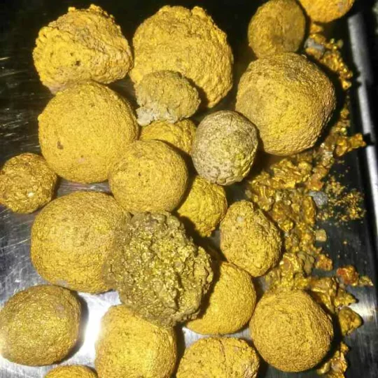 WhatsApp Image 2025-03-26 à 16.24.00_d1e0914d